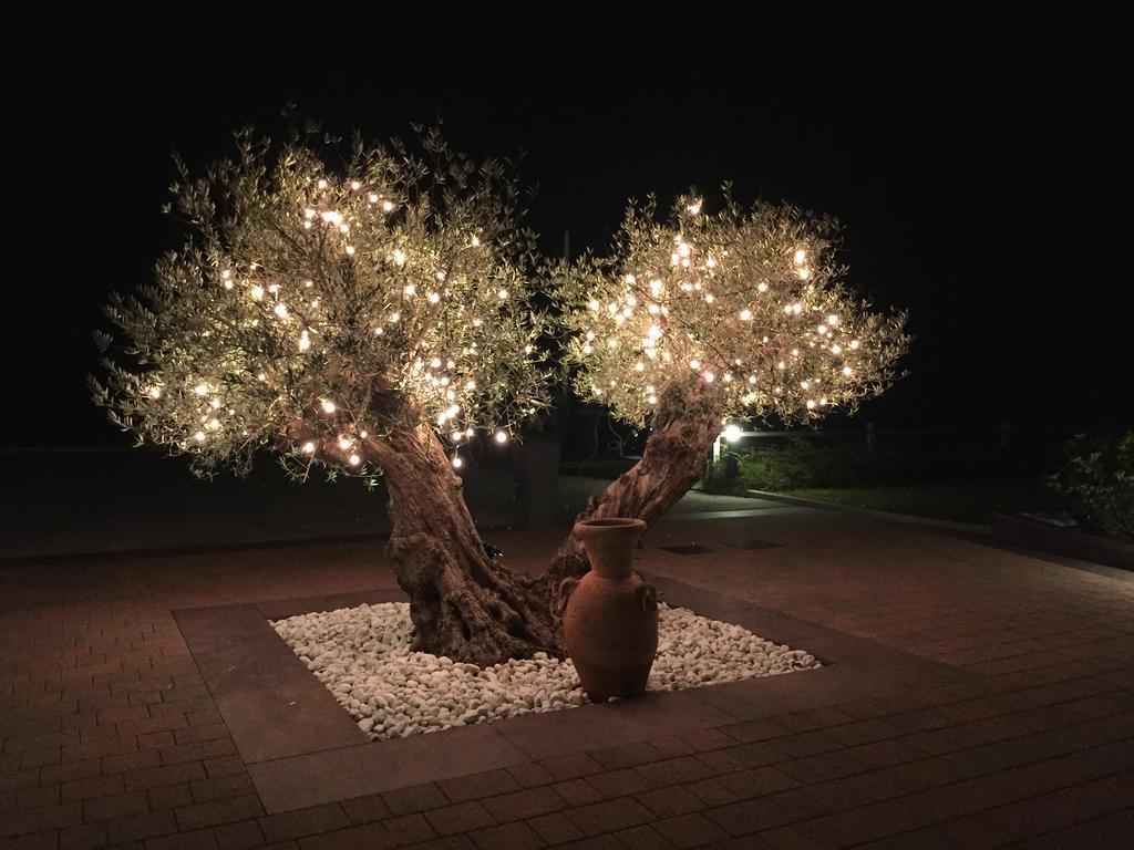 Agriturismo Podere Dell'Angelo Pasiano Di Pordenone エクステリア 写真