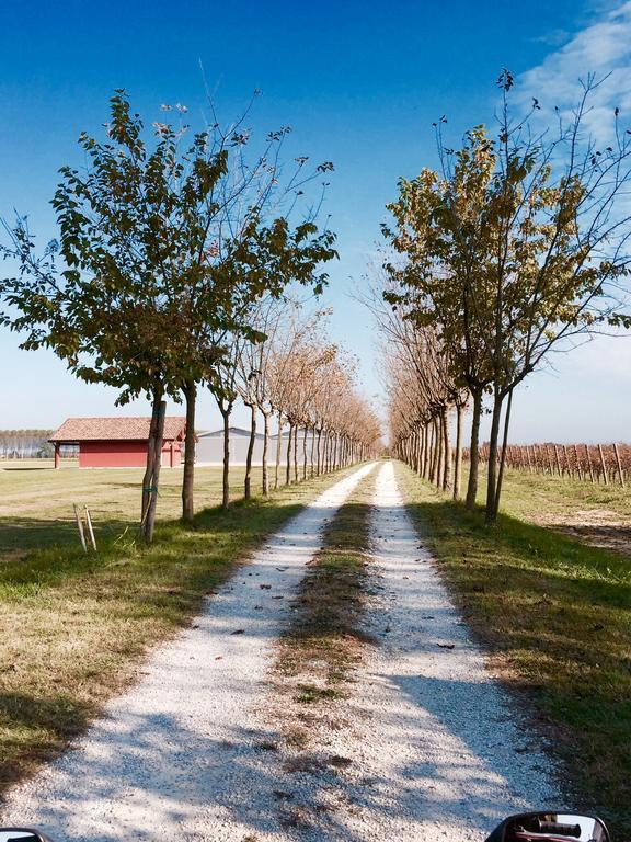 Agriturismo Podere Dell'Angelo Pasiano Di Pordenone エクステリア 写真